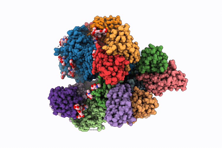 9P6E image