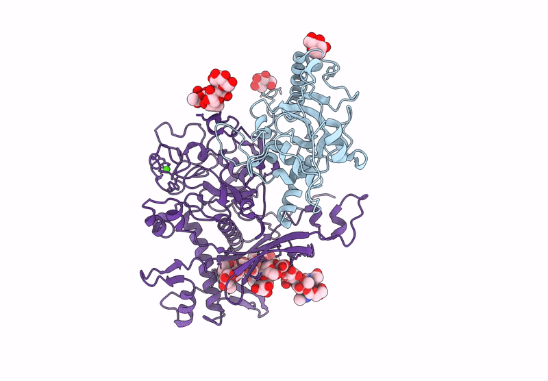 9P6H image