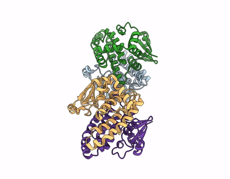 9P6K image