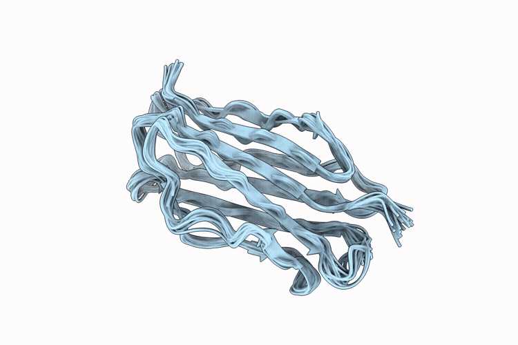 9P6W image