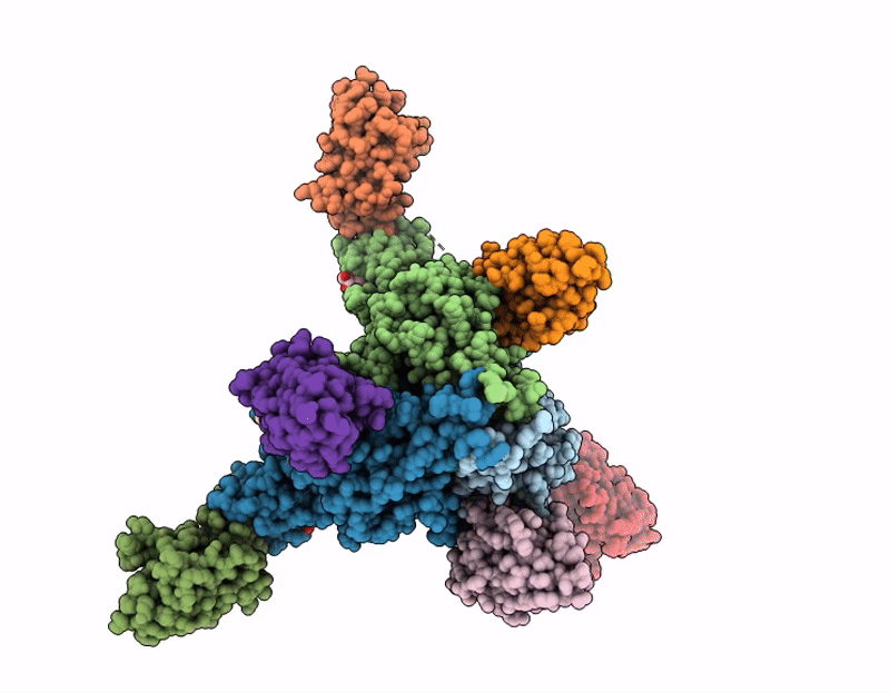 9P6X image
