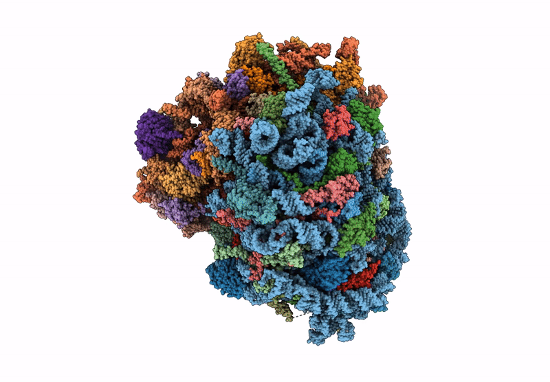 9P73 image