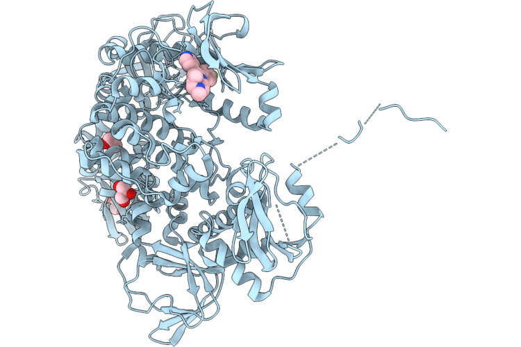 9P74 image