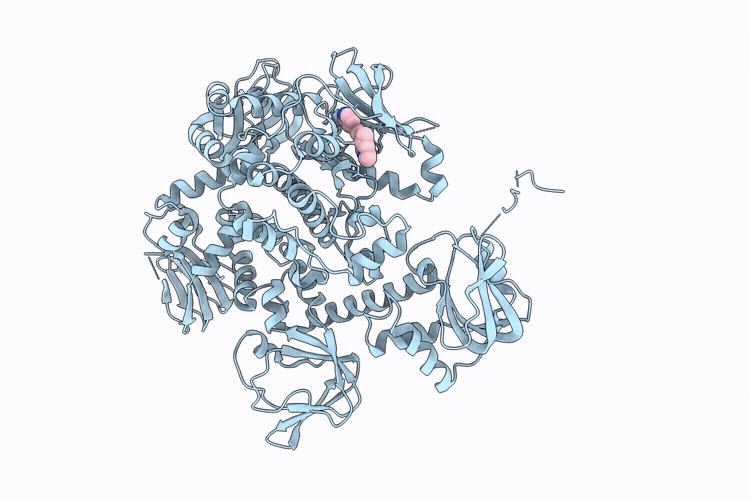 9P75 image
