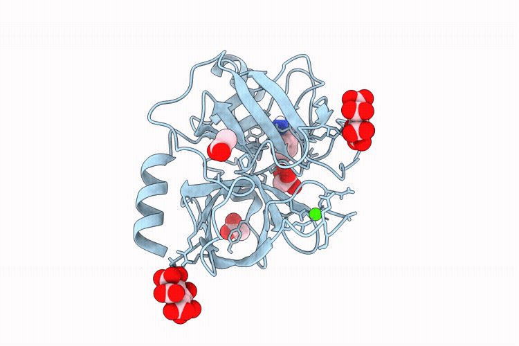 9P77 image