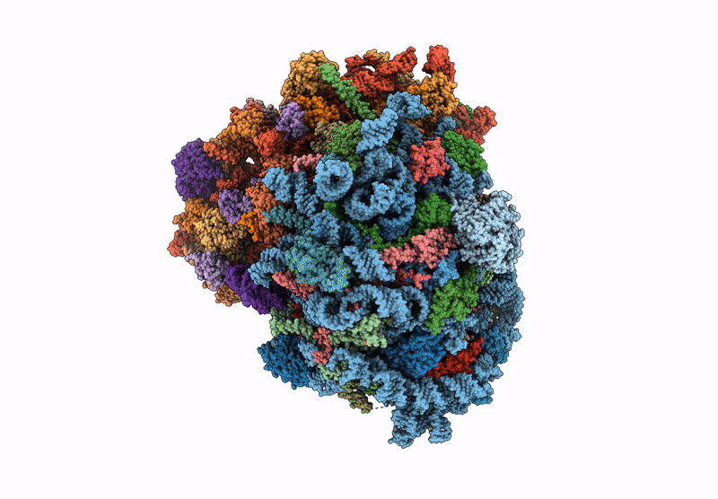 9P79 image