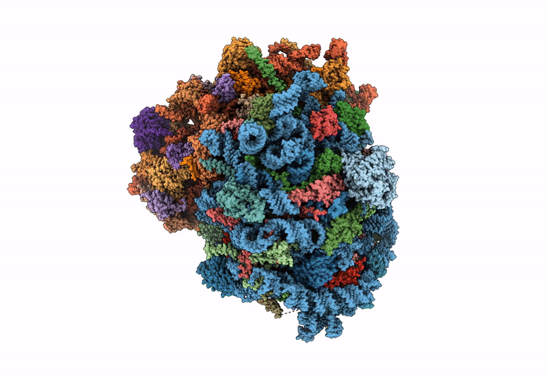 9P7D image