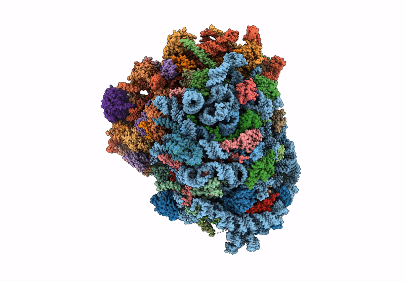 9P7H image