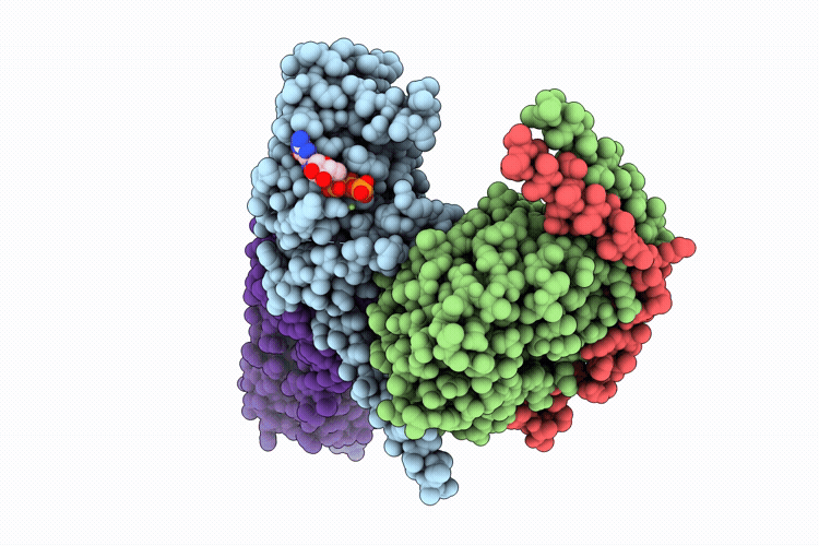 9P81 image
