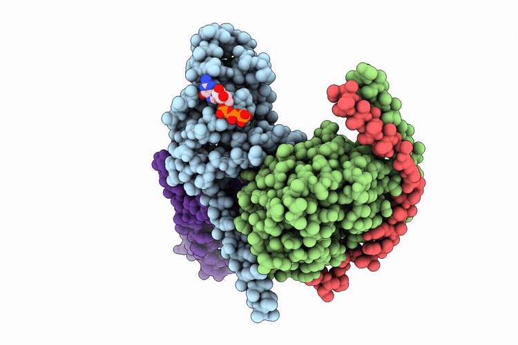 9P83 image
