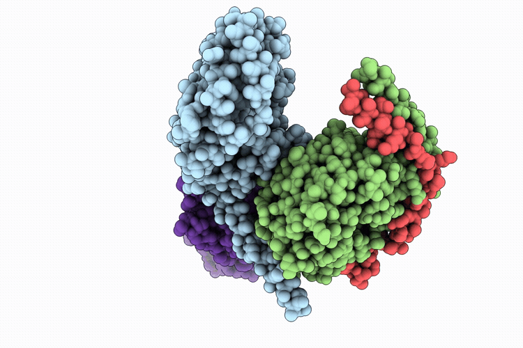 9P84 image