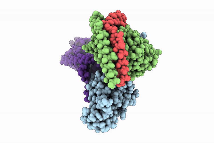 9P86 image