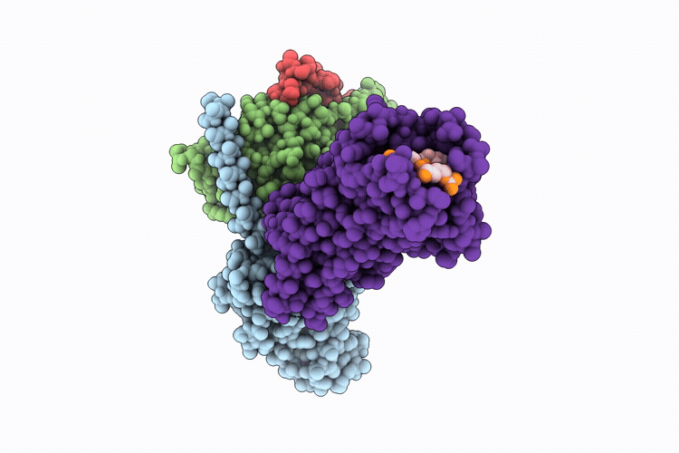 9P88 image
