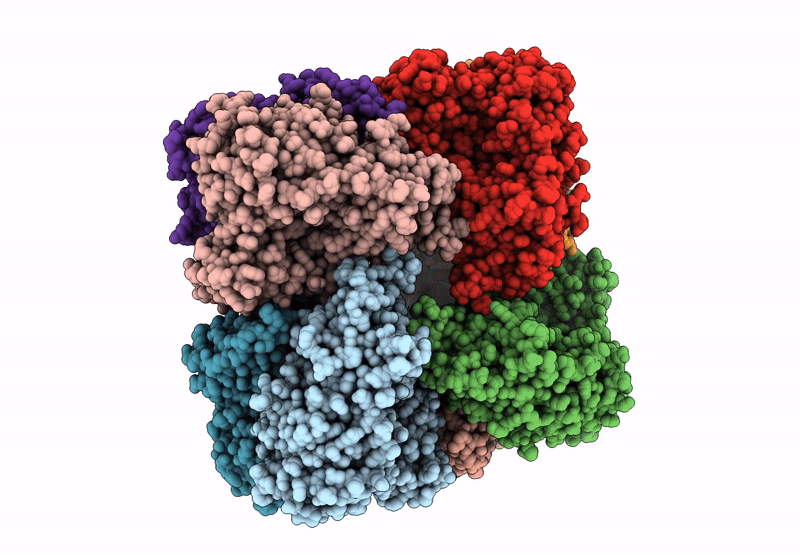 9P8S image