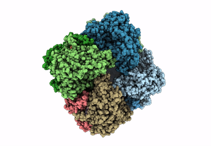 9P8T image