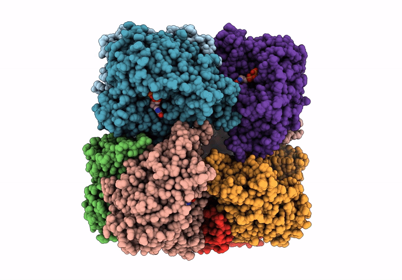 9P8V image