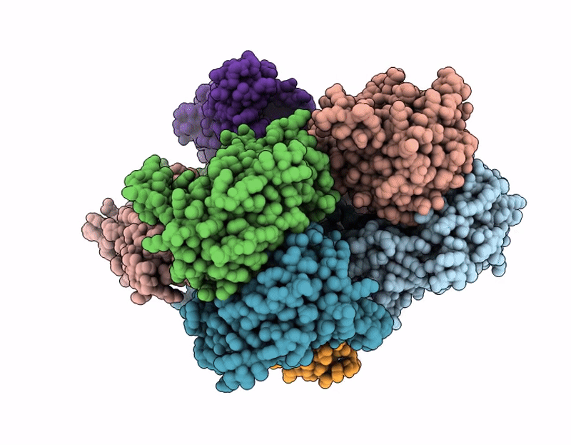 9P9B image