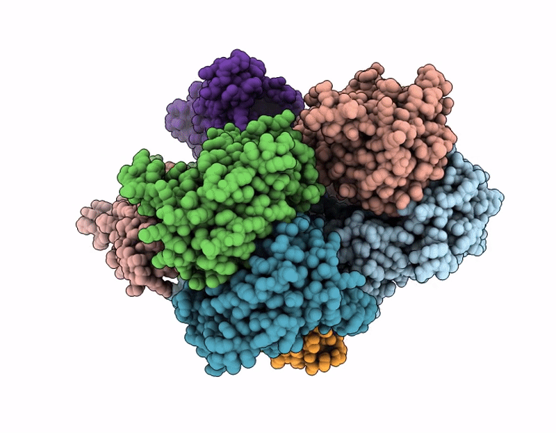 9P9E image