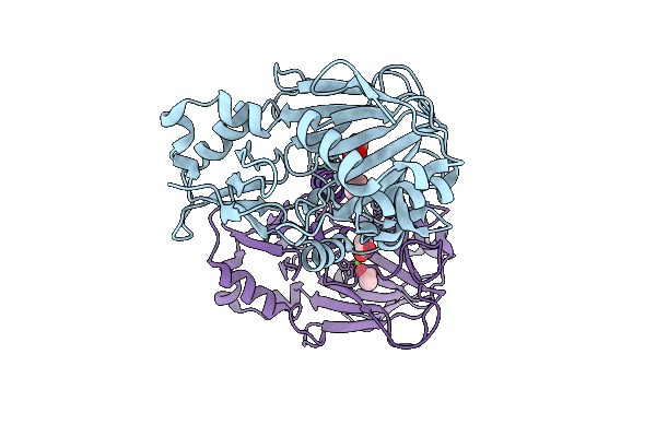 9P9N image