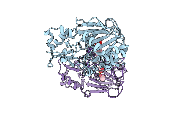 9P9P image