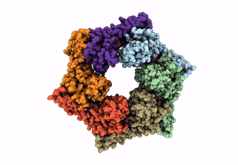 9P9V image