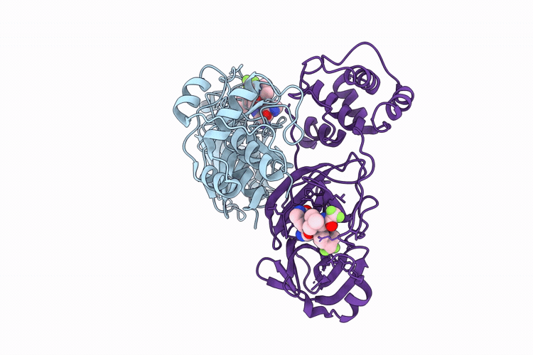 9PAB image