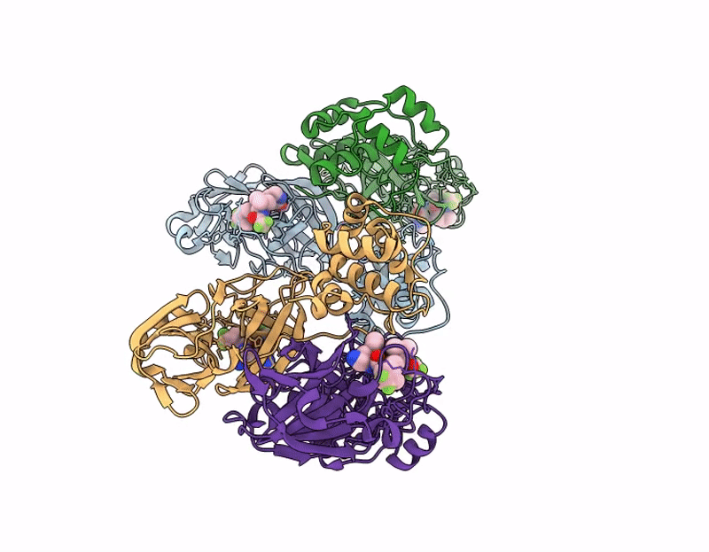 9PAE image