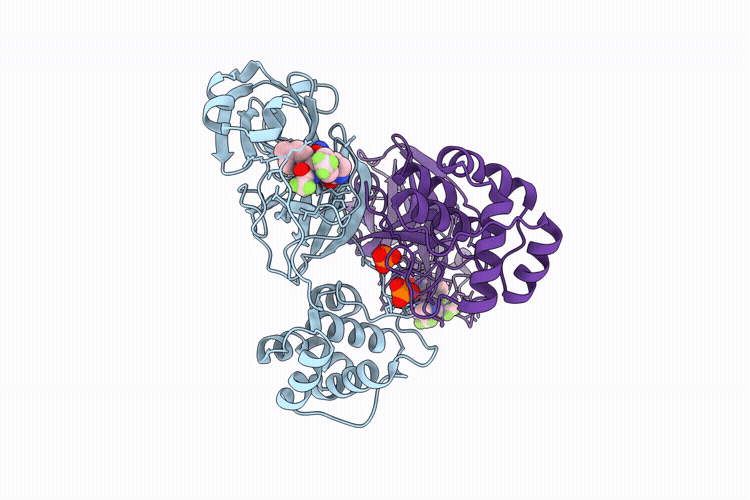 9PAH image