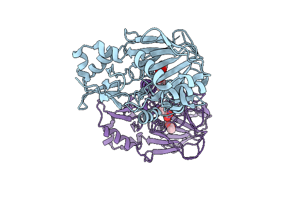 9PAU image