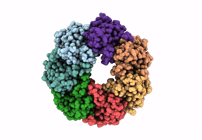 9PB1 image