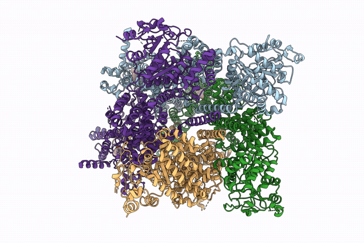 9PB6 image