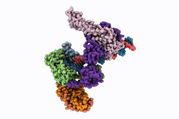 9PB8 image