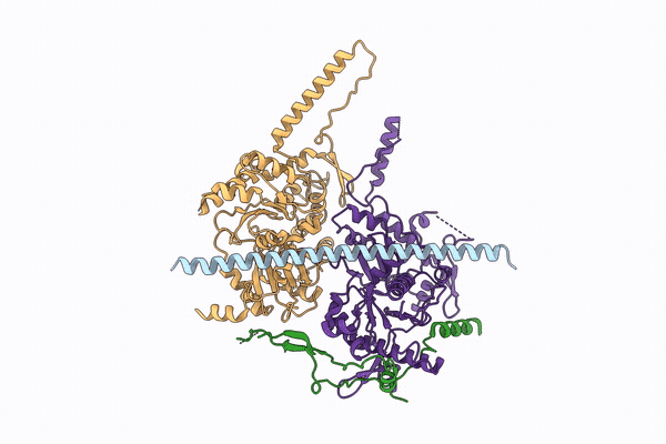 9PBT image