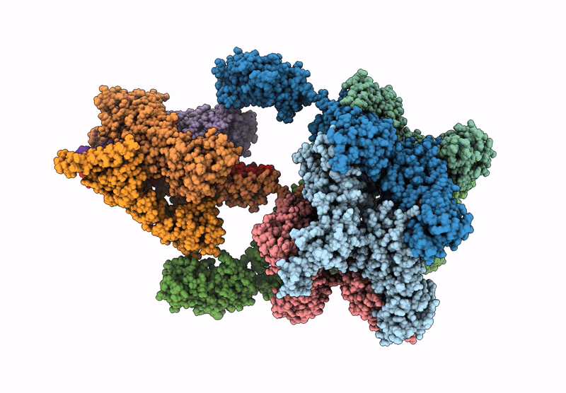 9PBV image