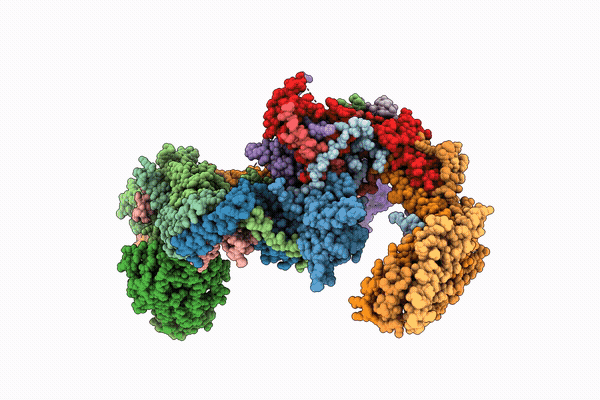 9PC7 image