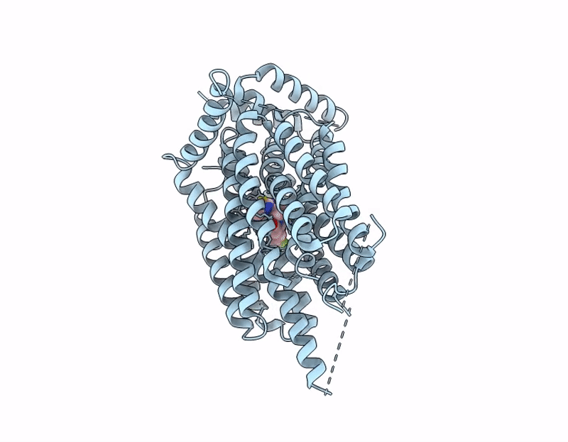 9PC9 image
