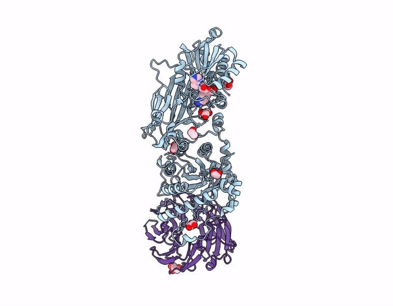9PCA image