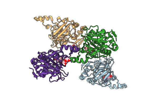 9PCL image