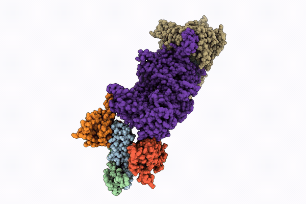 9PCR image