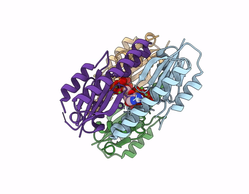9PD0 image