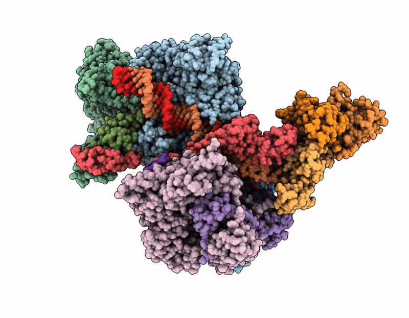 9PD3 image