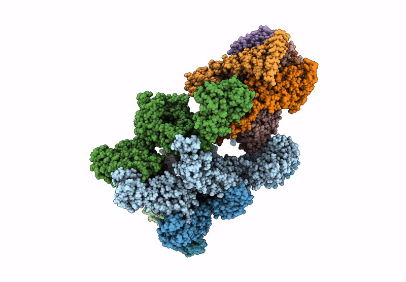 9PD8 image