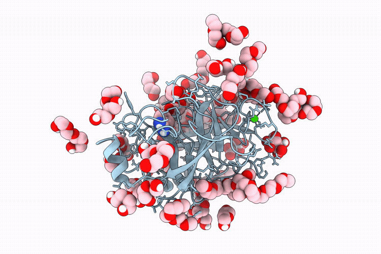 9PDC image