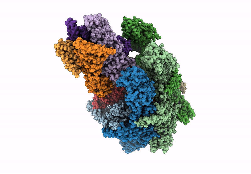 9PDD image