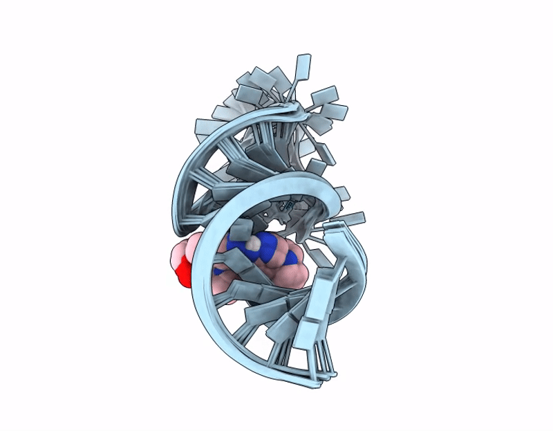 9PDG image
