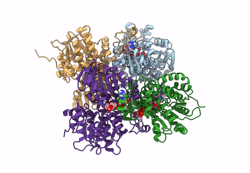 9PDH image