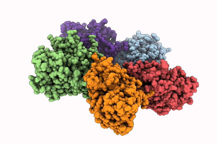 9PDM image