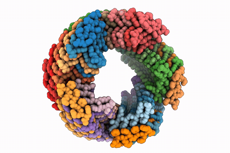 9PDV image