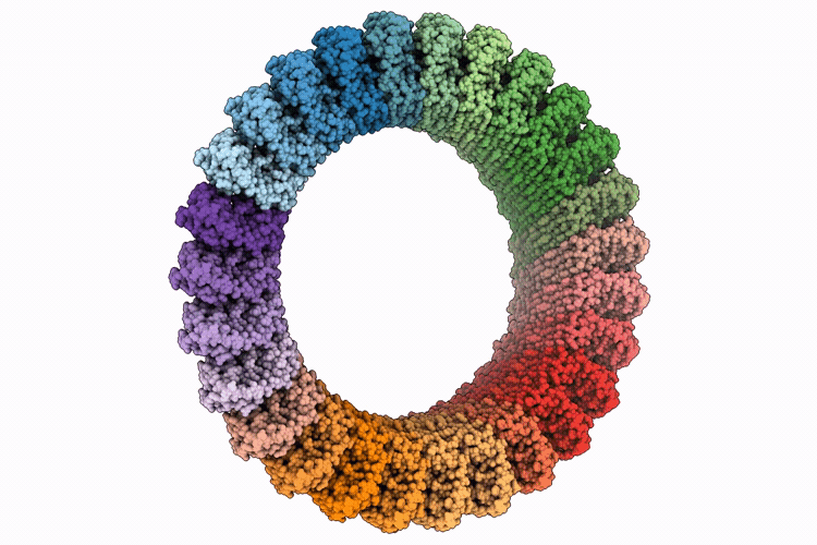 9PE0 image