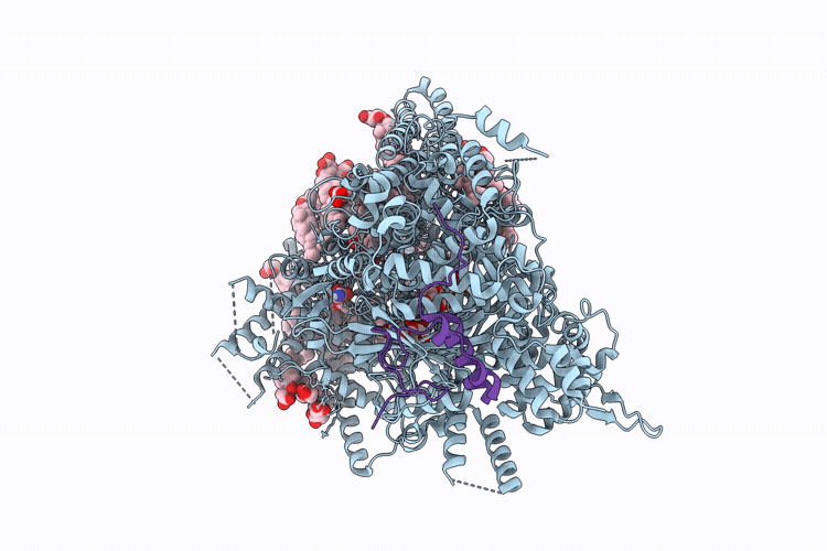 9PE2 image